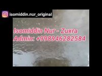 Isomiddin Nur - Zuxra